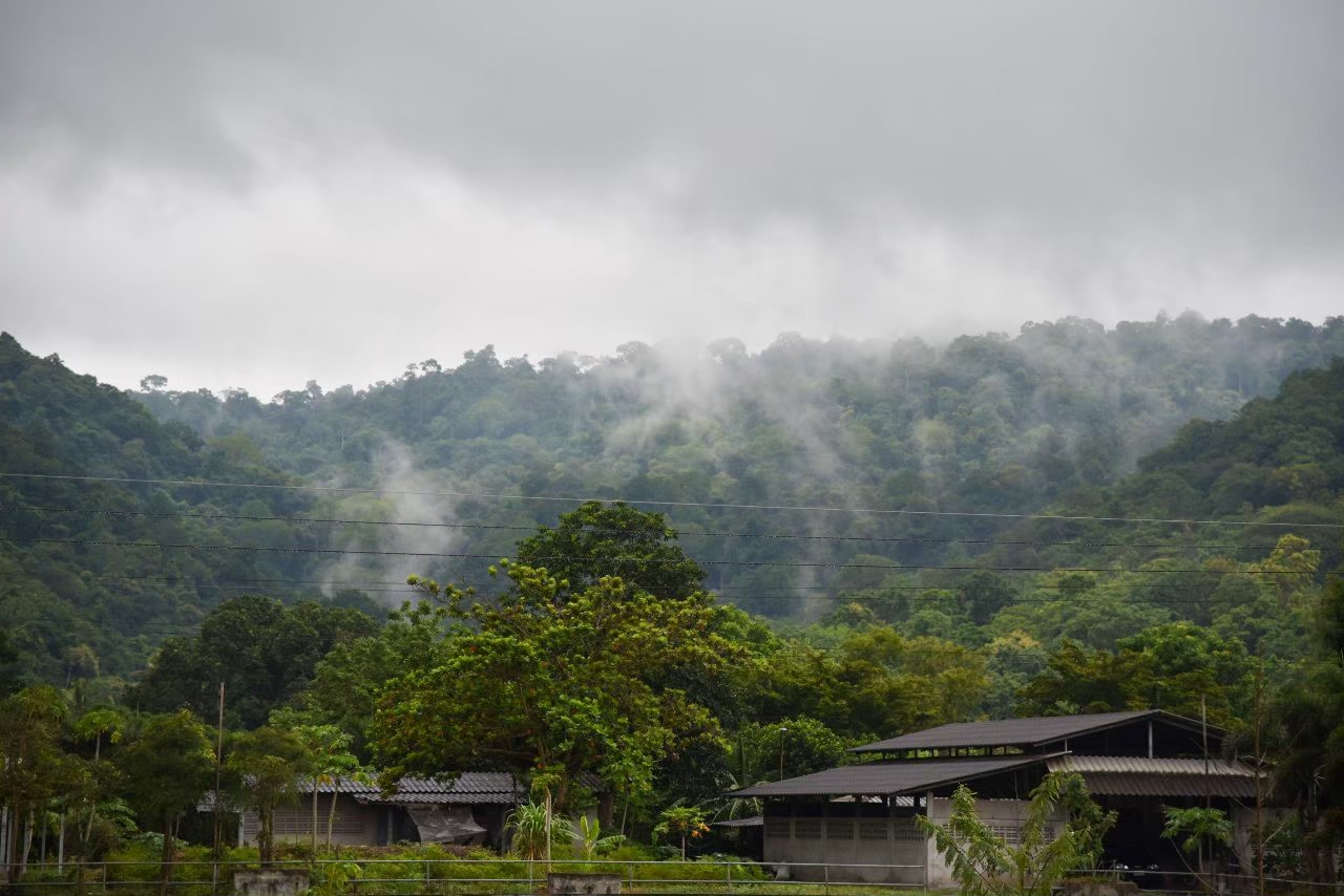 LINE_ALBUM_รูปภาพลาน ห้องพัก ระเบียบต่างๆ_241028_9